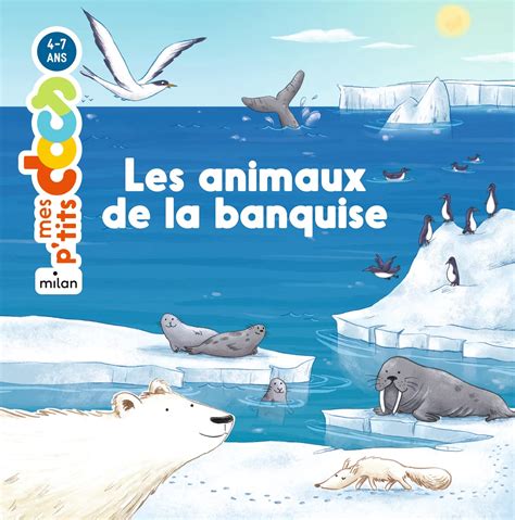 Mes P Tits Docs Mes Docs Animes Les Animaux De La Banquise Ledu Stephanie Amazon Co Uk Books