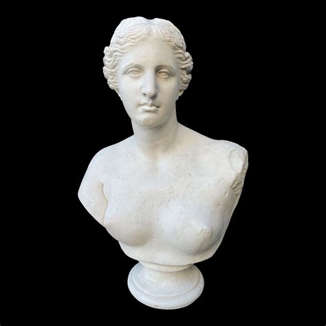 Plaster Bust Of Aphrodite Venus