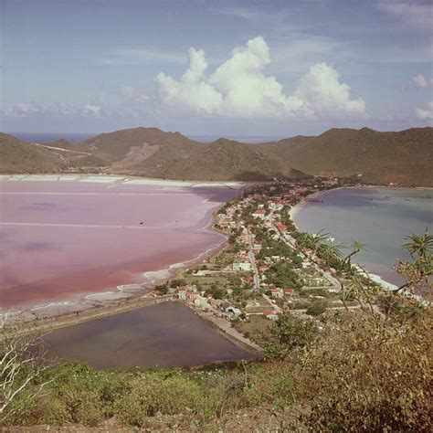 Fresh And Salt St Martin Image Collection