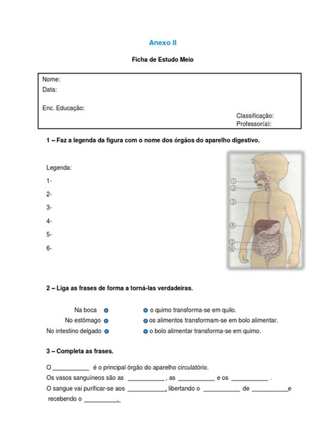 Ficha De Estudo Do Meio 3º Ano