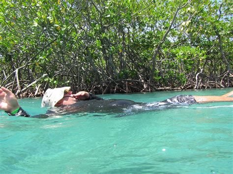 Guanica State Forest Tours Book Now Expedia