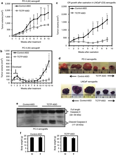 TctP Aso Treatment Inhibits Cr Tumor Progression Enhances Docetaxel