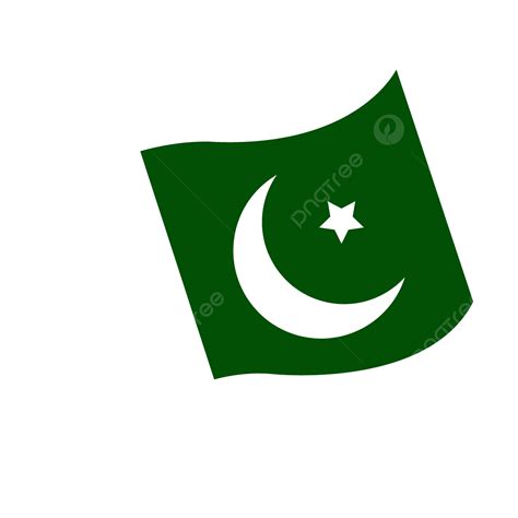 Pakistan Flag Vector Illustartion Independence Day Pakistan Flag