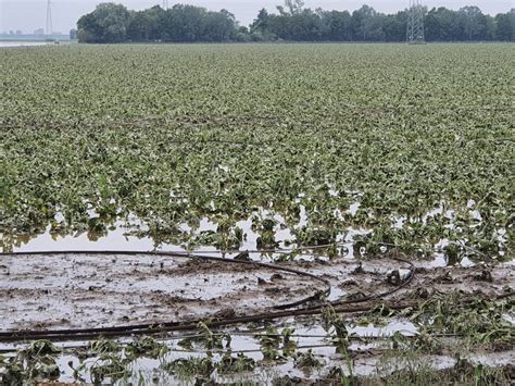 Alluvione Da Legacoop Nazionale E Legacoop Romagna Oltre Mezzo Milione