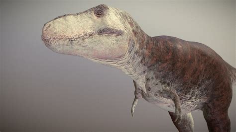 Tyrannosaurus Rex - 3D model by Freeflier [3efe60c] - Sketchfab