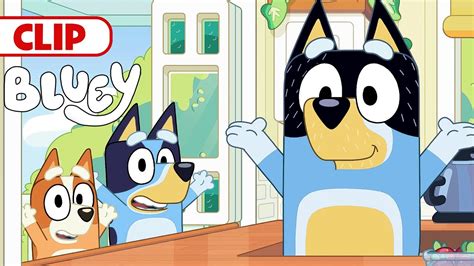 Bluey Season Episode Mini Bluey Episode Clip @disneyjunior