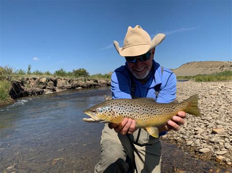 South Platte River Fishing Report // Fall Update - Colorado Trout Hunters