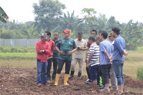 Perkuat Ketahanan Pangan Tri Adhianto Meninjau Persiapan Kebun Dpc Pdi