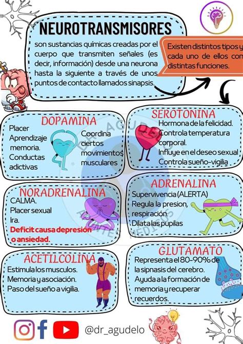 A Poster With Different Types Of Neurotrans And Other Things To See On It