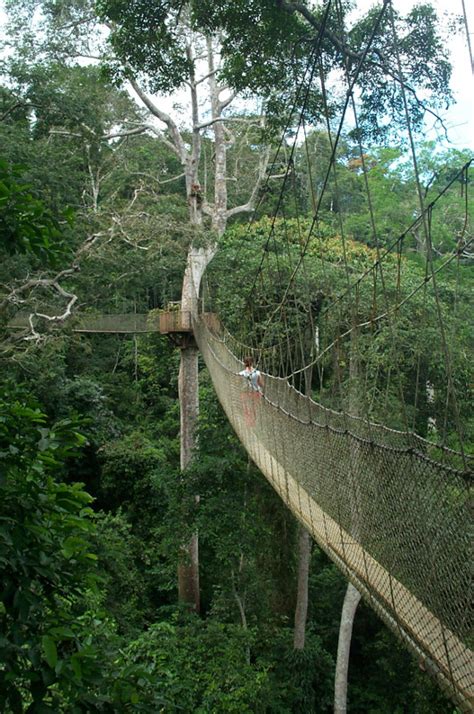 Canopy walk at Kakum National Park - Justinsomnia