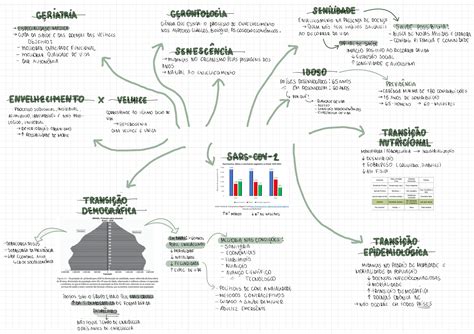 Epidemiologia Do Envelhecimento Sa De Coletiva