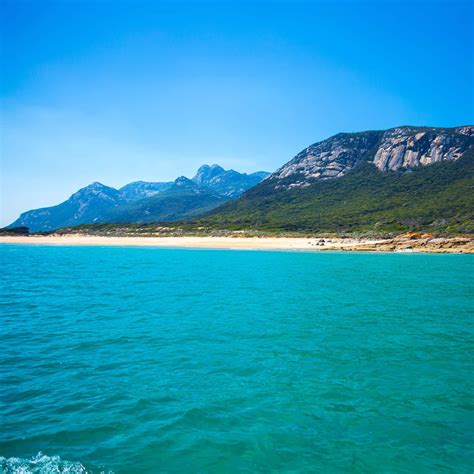 Contact Us — Flinders Island Roaring 40s Tours and Shuttles