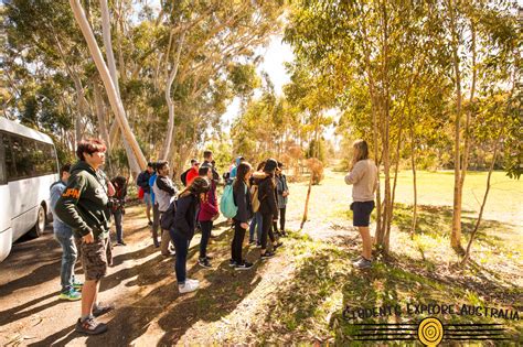 Camps For Schools Students Explore Australia