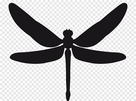 Stencil Sticker Dragonfly Insect Dragonfly Insects Monochrome Png