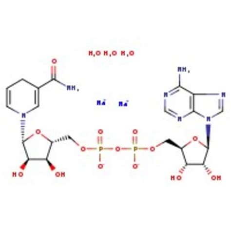 Beta Nicotinamide Adenine Dinucleotide Reduced Disodium Salt Trihydrate