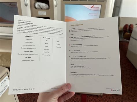 Air India Business Class Review — 787 From Dxb To Del