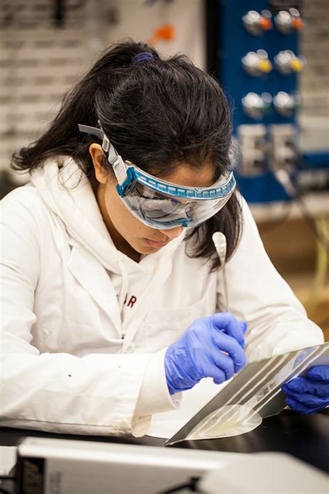 University Wins 1 5 Million Nsf Grant For Stem Programs