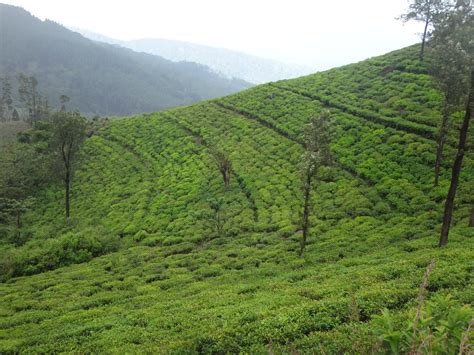 Knuckles Mountain Range Map - Central Province, Sri Lanka - Mapcarta