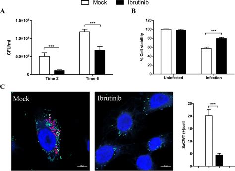 Ibrutinib Treatment During S Aureus Infection Increases Host Cell