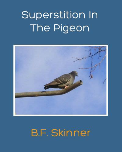 Beyond Freedom And Dignity By B F Skinner Pdf - regulationsbell