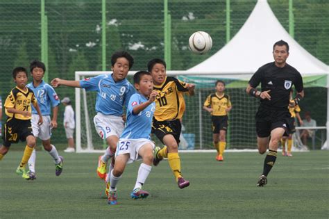 화랑대기 전국 유소년축구대회 경주 경제 효자 역할 톡톡 노컷뉴스