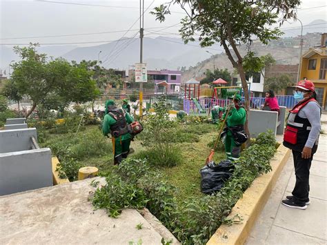 Mantenimiento De Las áreas Verdes En Nuestro Sector Municipalidad De Ate