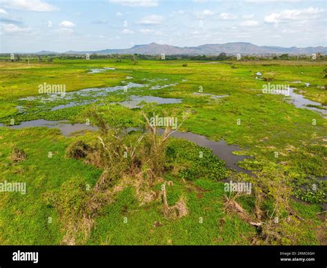 Freshwater Wetlands