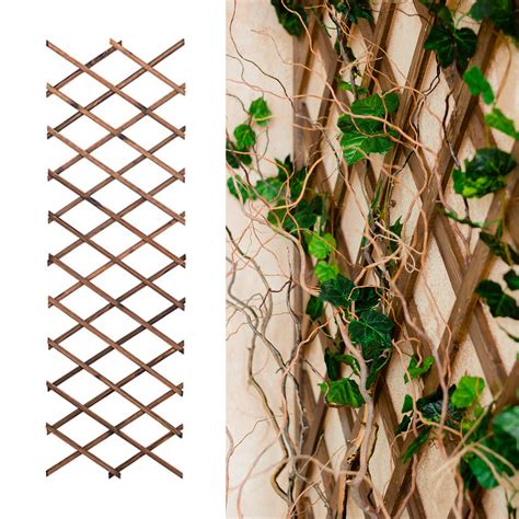 Buy Green Thumbz Garden Trellis Cm X Cm Wooden Expanding Trellis