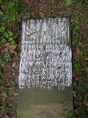 Gravestones In Greenhill Cemetery Carroll Co Ohio Page