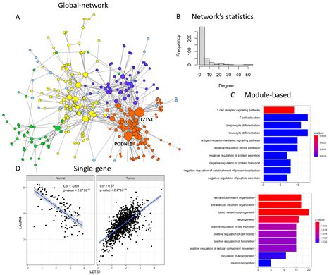 Ijms Free Full Text Differential Co Expression Analyses Allow The