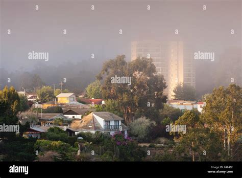 Chile, Algarrobo, morning fog Stock Photo - Alamy