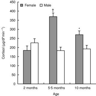 ACTH And Cortisol Response To CRH Challenge In 2 Month Old Lambs