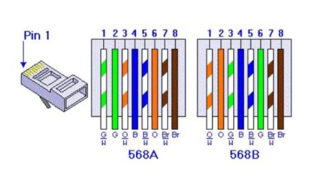 What Is The Difference Between T568a And T568b P Shine 56 Off