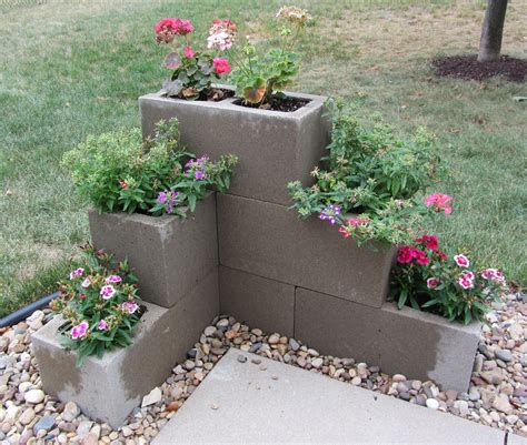 Cement Block Planter Plants Cinder Block Garden Backyard Landscaping