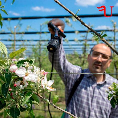 Curso De Siembra Plantación Y Trasplante En Actividades Agrícolas