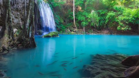 Nature Thailand Clear Water Fish Water Long Exposure Pond