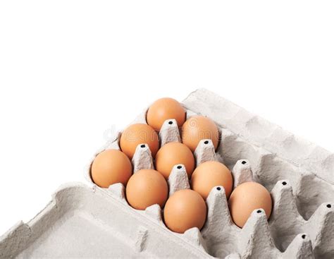 Filled Egg Carton Package Isolated Stock Image Image Of Brown Bird