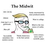 The Midwit Meme Generator - Imgflip