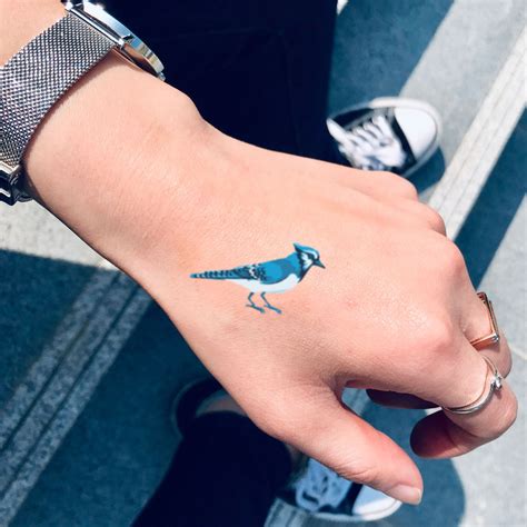 Blue Jay Bird Temporary Tattoo Sticker - OhMyTat