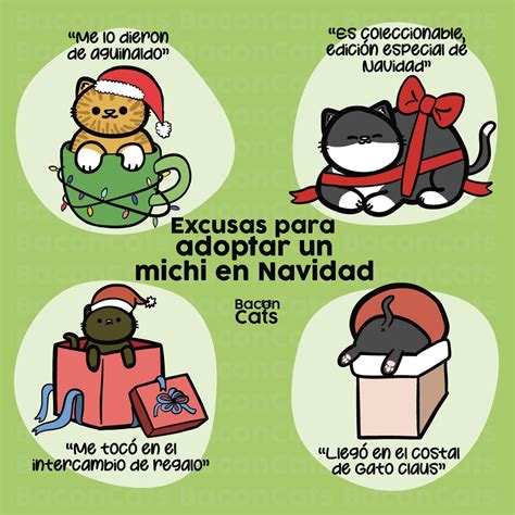 Bacon Cats On Twitter Siempre Es Un Buen Momento Para Adoptar A Un