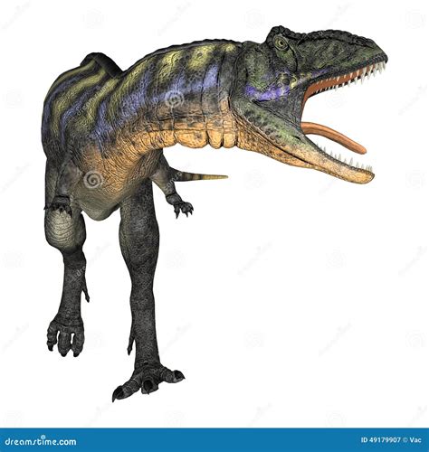 Dinosaur Aucasaurus Royalty Free Stock Photography Cartoondealer