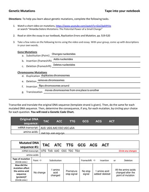 Free Amoeba Sisters Mutations Worksheet Answer Key Download Free Amoeba Sisters Mutations