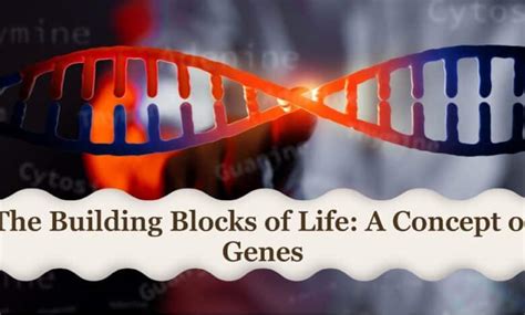 The Building Blocks Of Life Deep Dive Into The Concept Of Genes