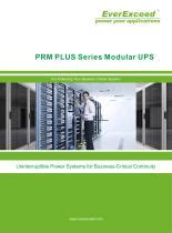 Ondulador UPS Modular PRM Plus EverExceed Industrial Co Ltd