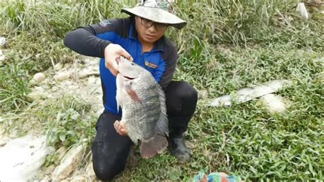 Sobra Sobra Na Ang Dami Ng Isda Sa Nakatagong Ilog Nato Kilos Ang Isa