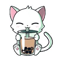 Cat Drinking Boba Animated Discord Pfp