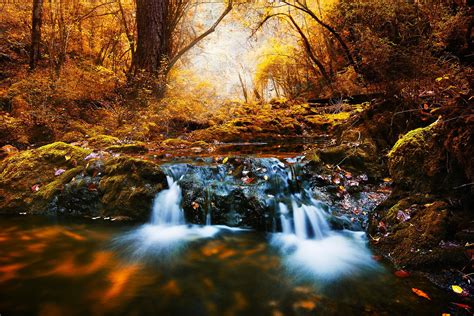 1920x1080 Resolution Waterfalls Near Trees Digital Wallpaper Forest