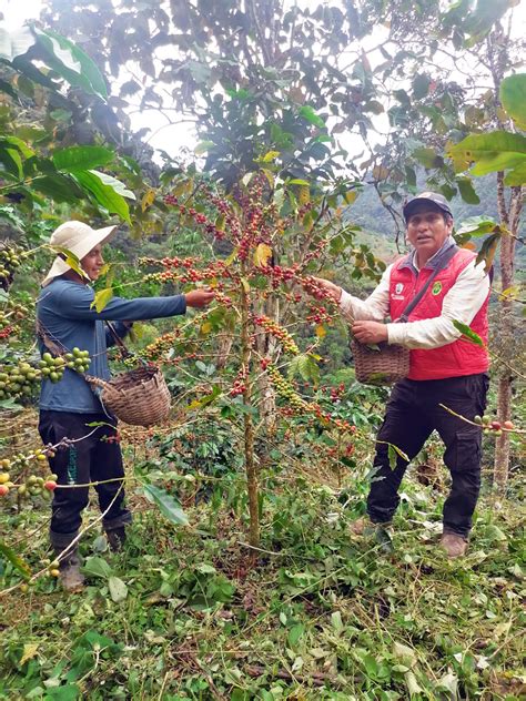 M S De Agricultores De Sivia Fortalecen Sus Capacidades Con El