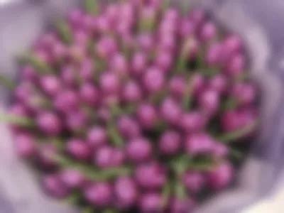 Allie Silver Fox Silverr Fox Nude On Cam Free Live Sex Chat Room