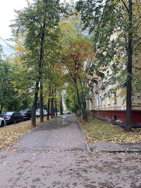 Кадмий оранжевый — LiveJournal
